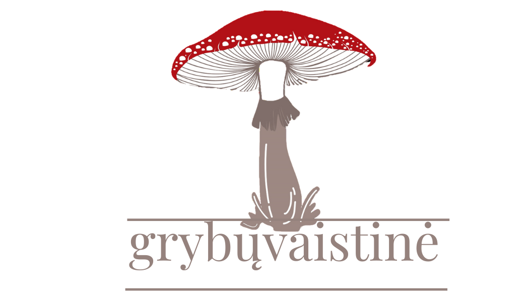 Grybų vaistinė